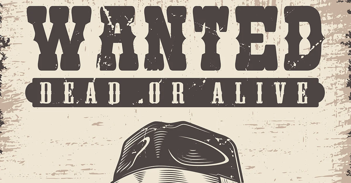 one piece wanted poster