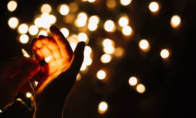 festival of lights delights