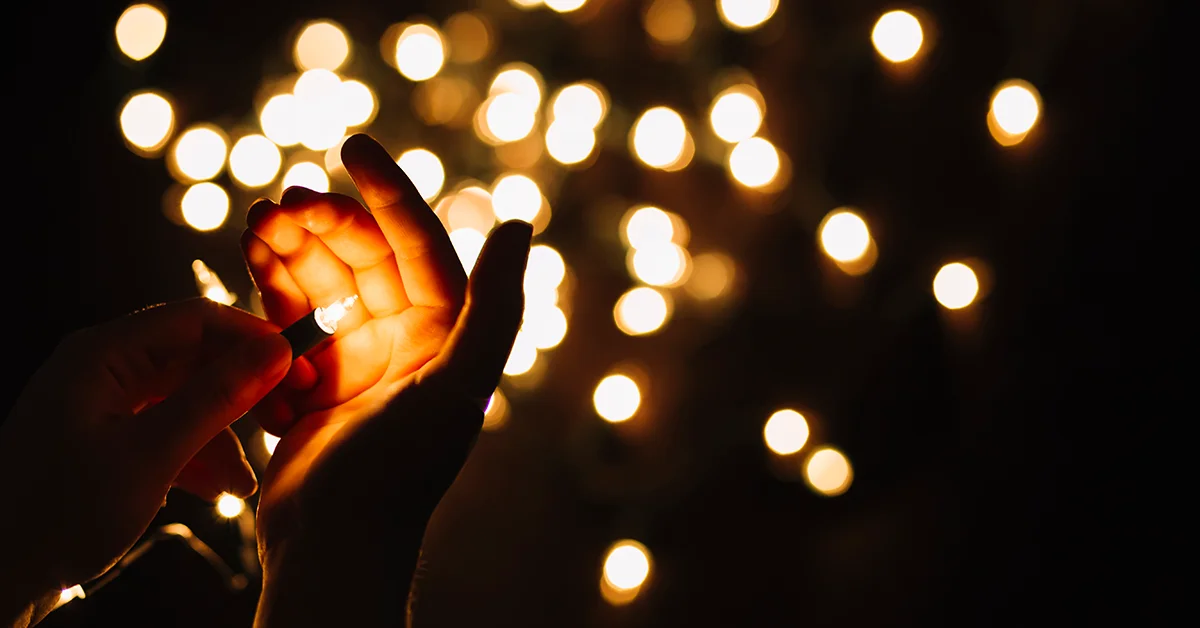 festival of lights delights